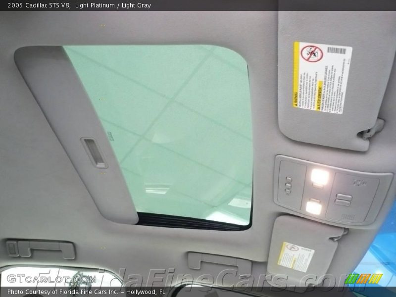 Light Platinum / Light Gray 2005 Cadillac STS V8