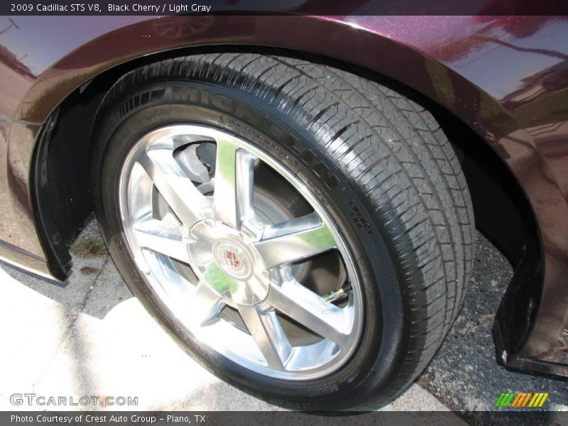 Black Cherry / Light Gray 2009 Cadillac STS V8