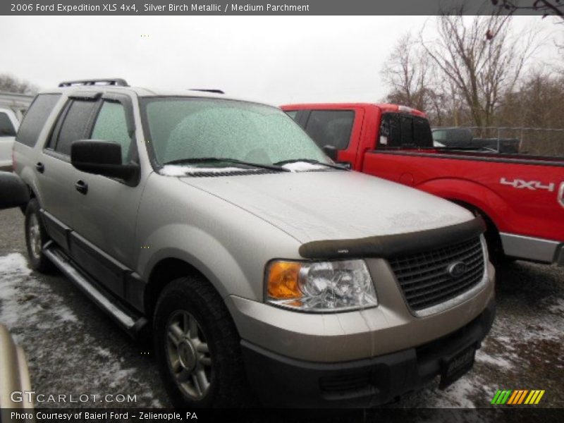 Silver Birch Metallic / Medium Parchment 2006 Ford Expedition XLS 4x4