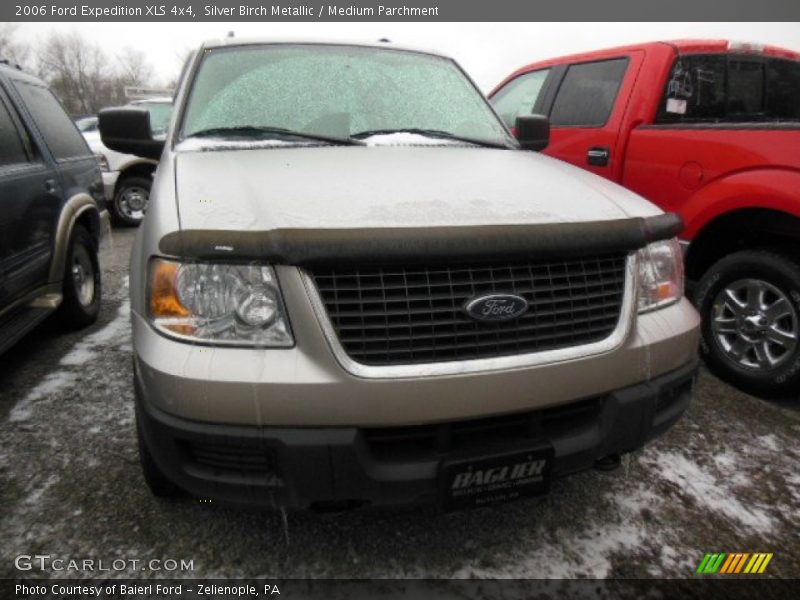 Silver Birch Metallic / Medium Parchment 2006 Ford Expedition XLS 4x4