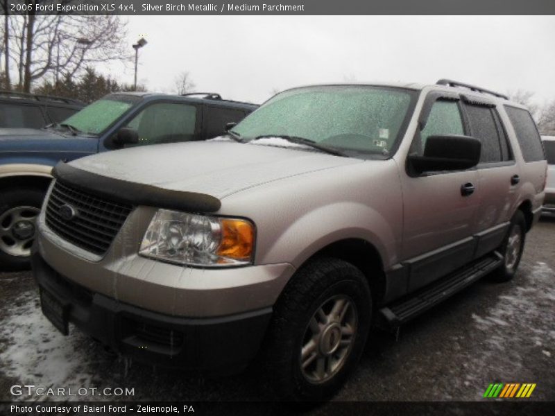 Silver Birch Metallic / Medium Parchment 2006 Ford Expedition XLS 4x4
