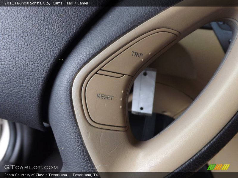 Camel Pearl / Camel 2011 Hyundai Sonata GLS