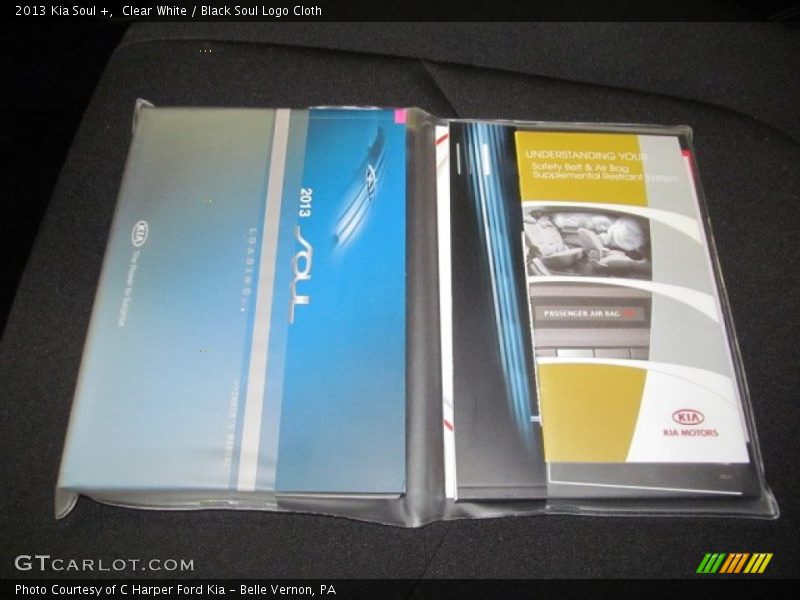 Books/Manuals of 2013 Soul +