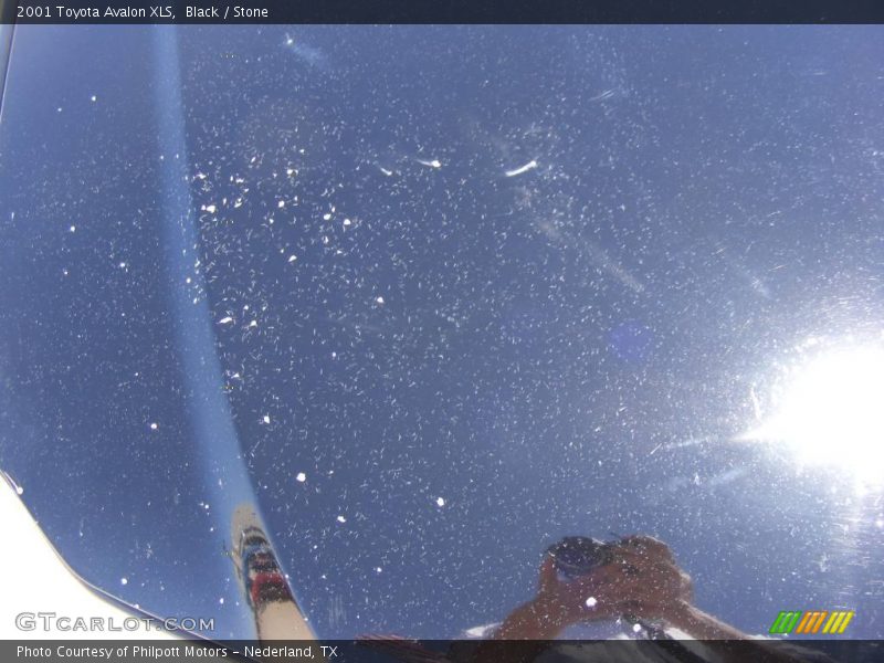 Black / Stone 2001 Toyota Avalon XLS