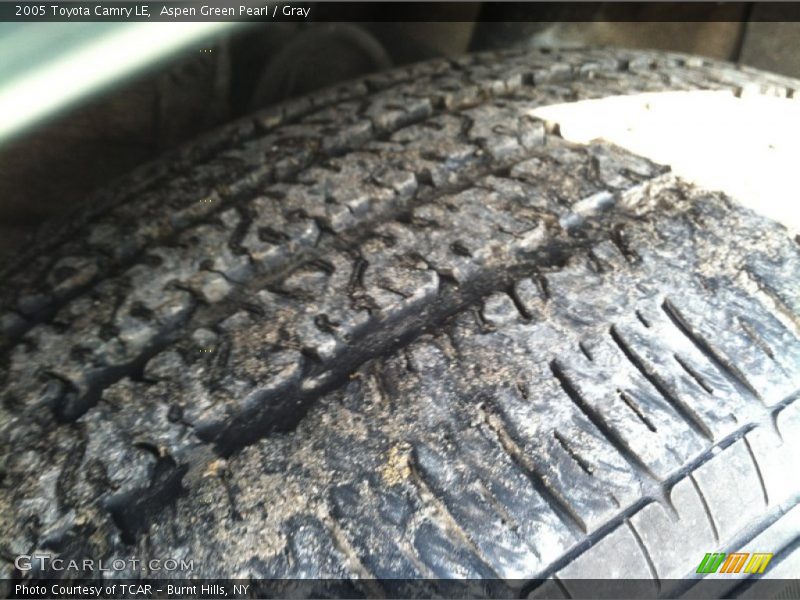Aspen Green Pearl / Gray 2005 Toyota Camry LE