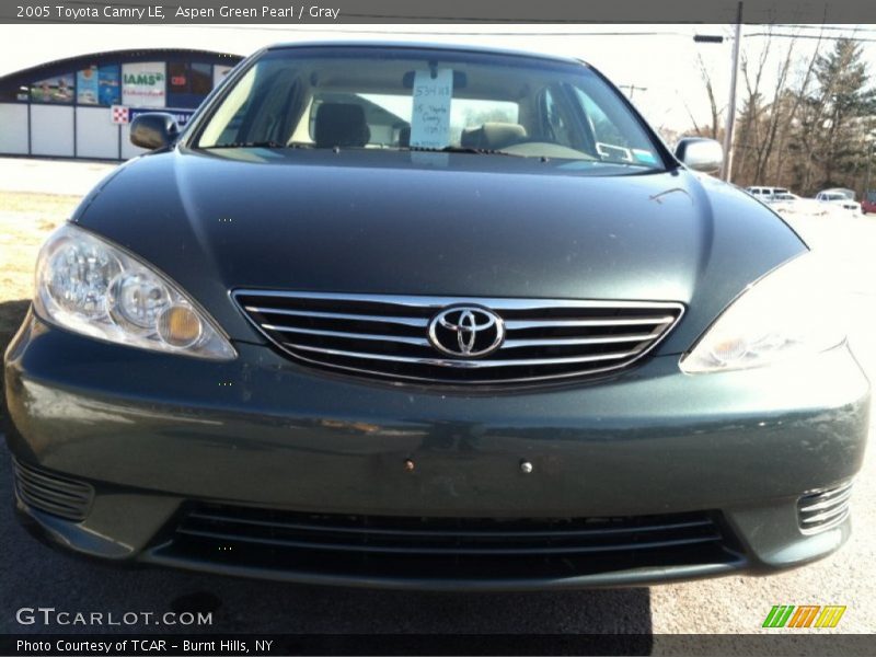 Aspen Green Pearl / Gray 2005 Toyota Camry LE