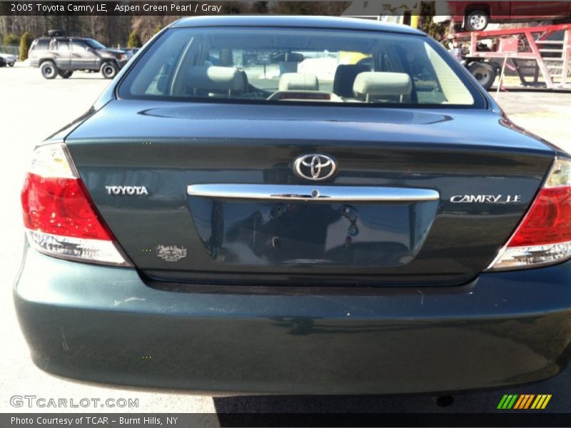 Aspen Green Pearl / Gray 2005 Toyota Camry LE