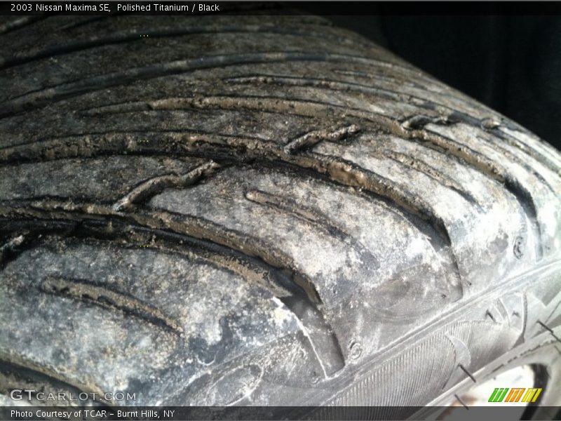 Polished Titanium / Black 2003 Nissan Maxima SE