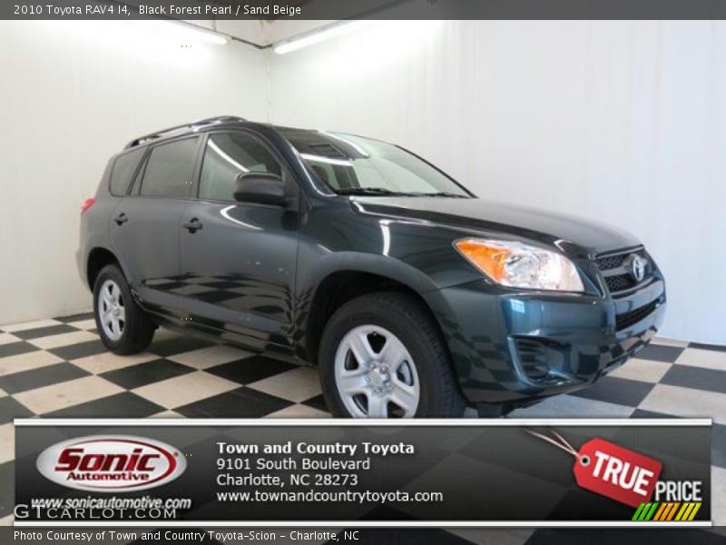 Black Forest Pearl / Sand Beige 2010 Toyota RAV4 I4