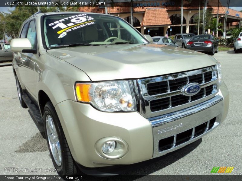 Gold Leaf Metallic / Camel 2012 Ford Escape Limited V6