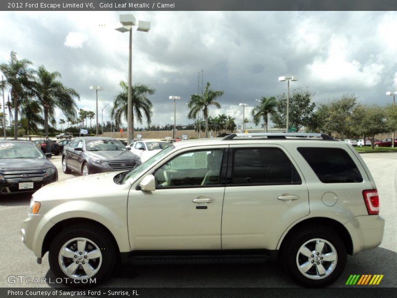 Gold Leaf Metallic / Camel 2012 Ford Escape Limited V6