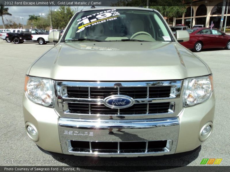 Gold Leaf Metallic / Camel 2012 Ford Escape Limited V6