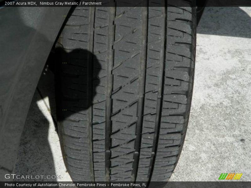 Nimbus Gray Metallic / Parchment 2007 Acura MDX