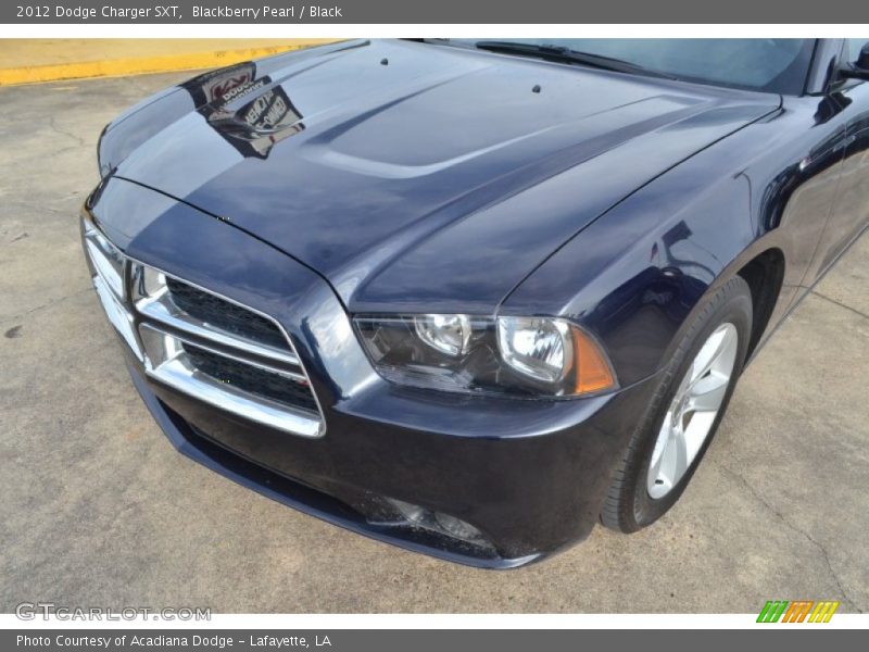Blackberry Pearl / Black 2012 Dodge Charger SXT