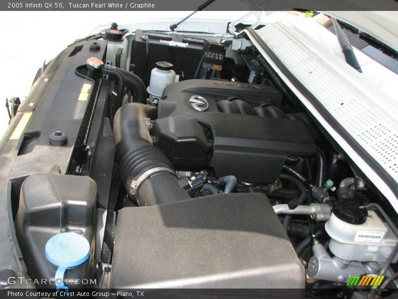 Tuscan Pearl White / Graphite 2005 Infiniti QX 56