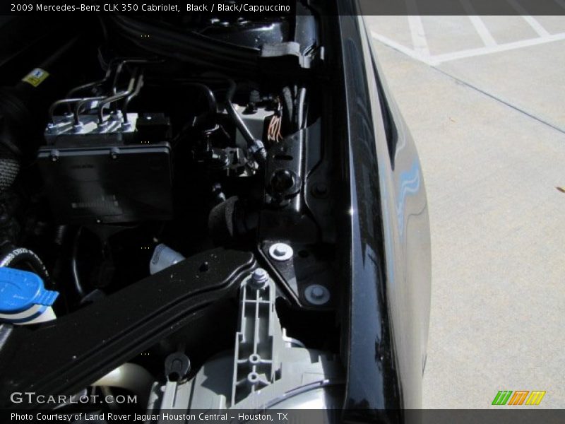 Black / Black/Cappuccino 2009 Mercedes-Benz CLK 350 Cabriolet