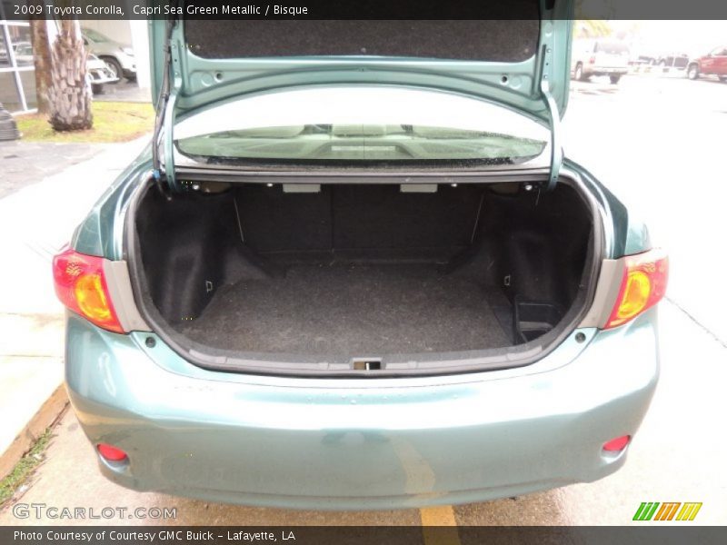 Capri Sea Green Metallic / Bisque 2009 Toyota Corolla