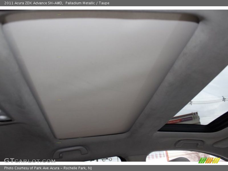 Palladium Metallic / Taupe 2011 Acura ZDX Advance SH-AWD