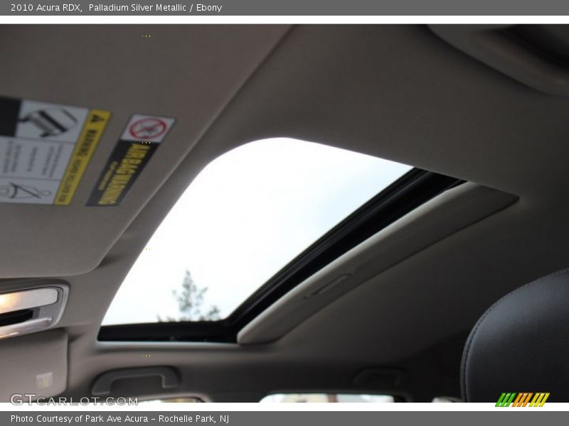 Palladium Silver Metallic / Ebony 2010 Acura RDX