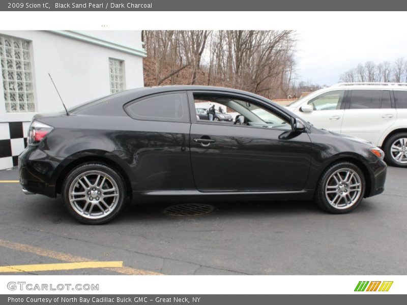 2009 tC  Black Sand Pearl