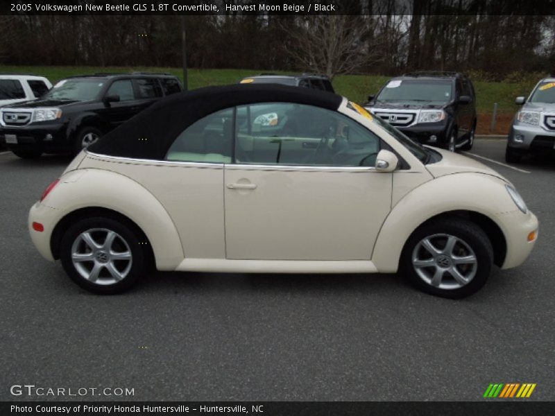 Harvest Moon Beige / Black 2005 Volkswagen New Beetle GLS 1.8T Convertible