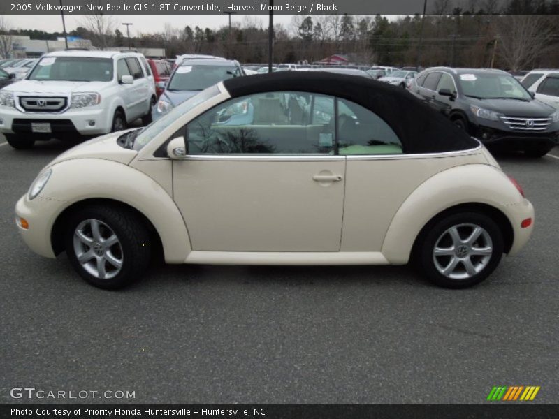 Harvest Moon Beige / Black 2005 Volkswagen New Beetle GLS 1.8T Convertible