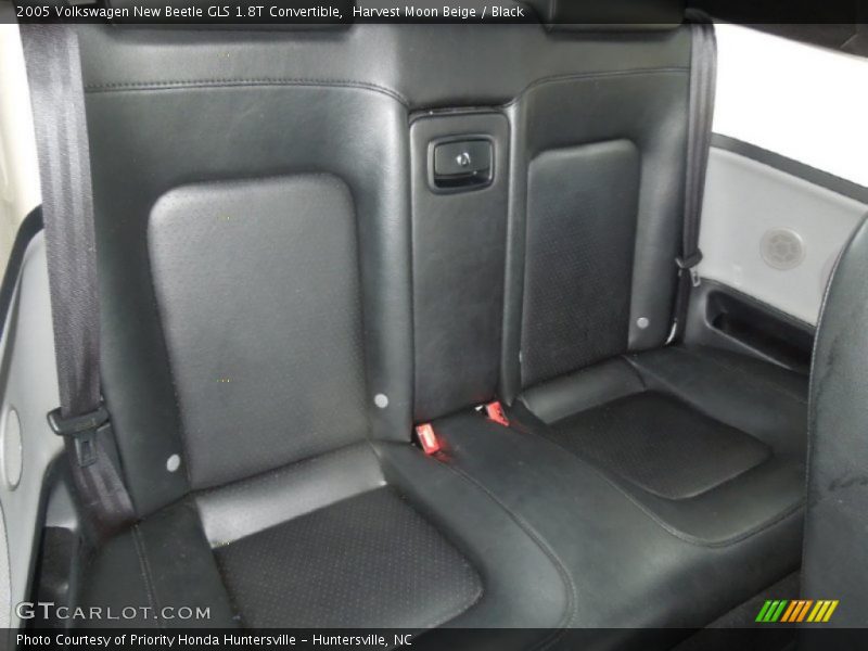 Rear Seat of 2005 New Beetle GLS 1.8T Convertible