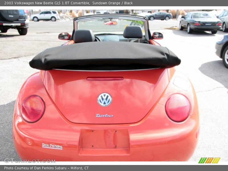 Sundown Orange / Black 2003 Volkswagen New Beetle GLS 1.8T Convertible