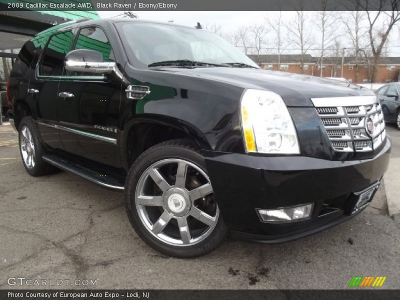 Black Raven / Ebony/Ebony 2009 Cadillac Escalade AWD