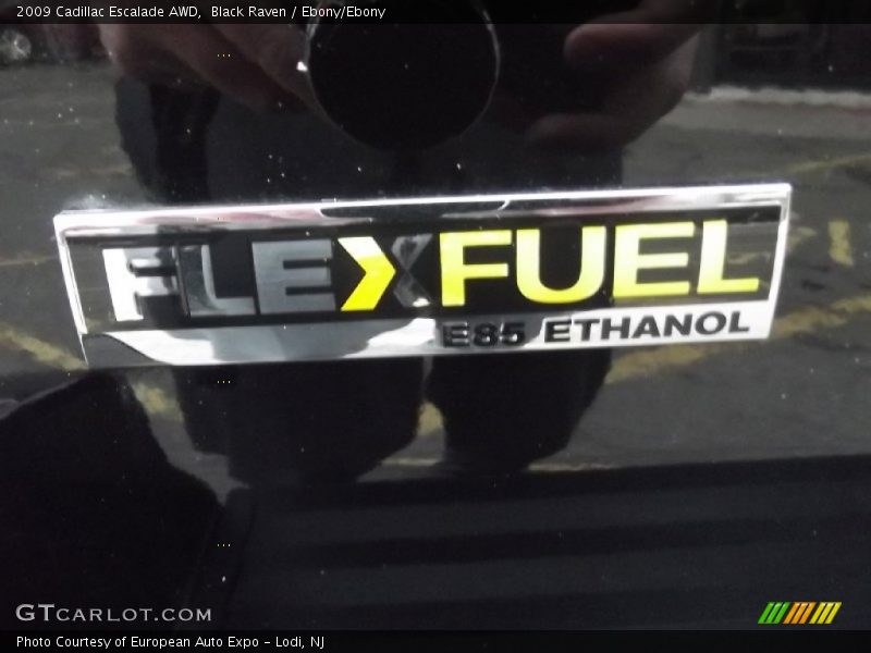 Black Raven / Ebony/Ebony 2009 Cadillac Escalade AWD