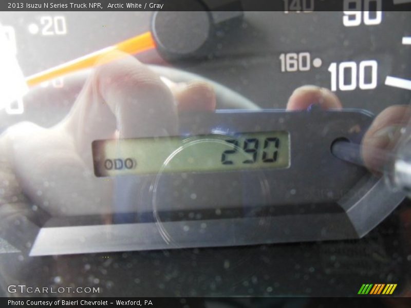 Arctic White / Gray 2013 Isuzu N Series Truck NPR