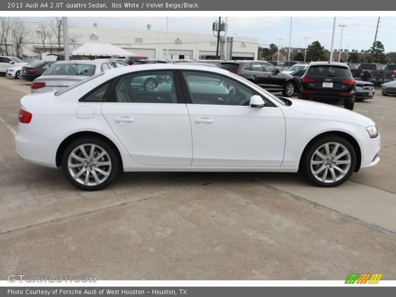 Ibis White / Velvet Beige/Black 2013 Audi A4 2.0T quattro Sedan