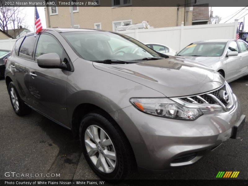 Tinted Bronze / Black 2012 Nissan Murano S AWD