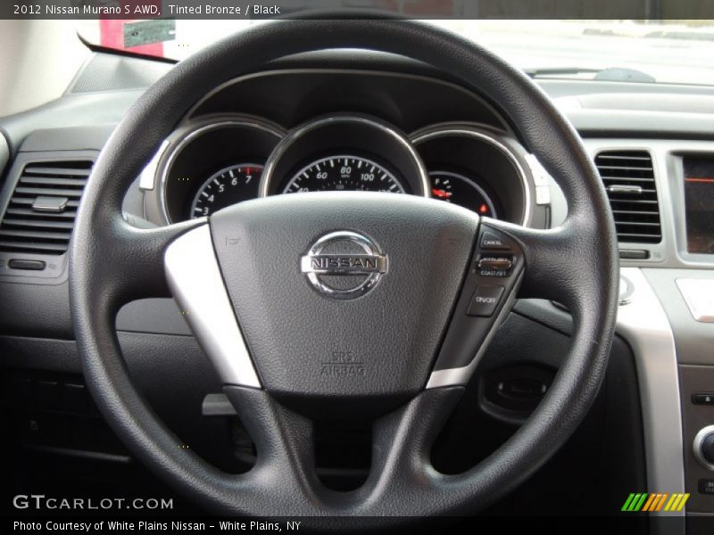 Tinted Bronze / Black 2012 Nissan Murano S AWD