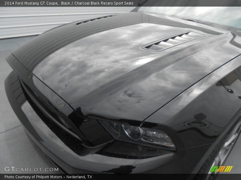 Hood - 2014 Ford Mustang GT Coupe