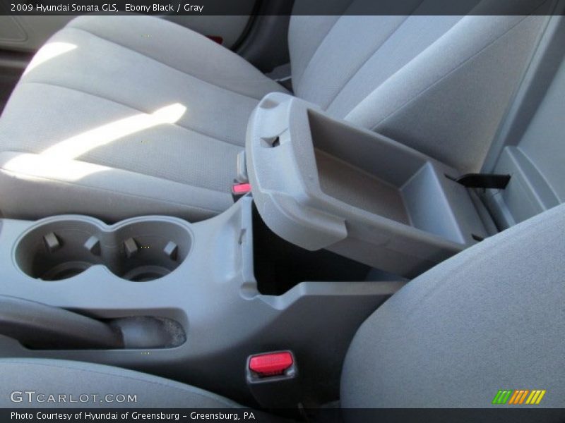 Ebony Black / Gray 2009 Hyundai Sonata GLS