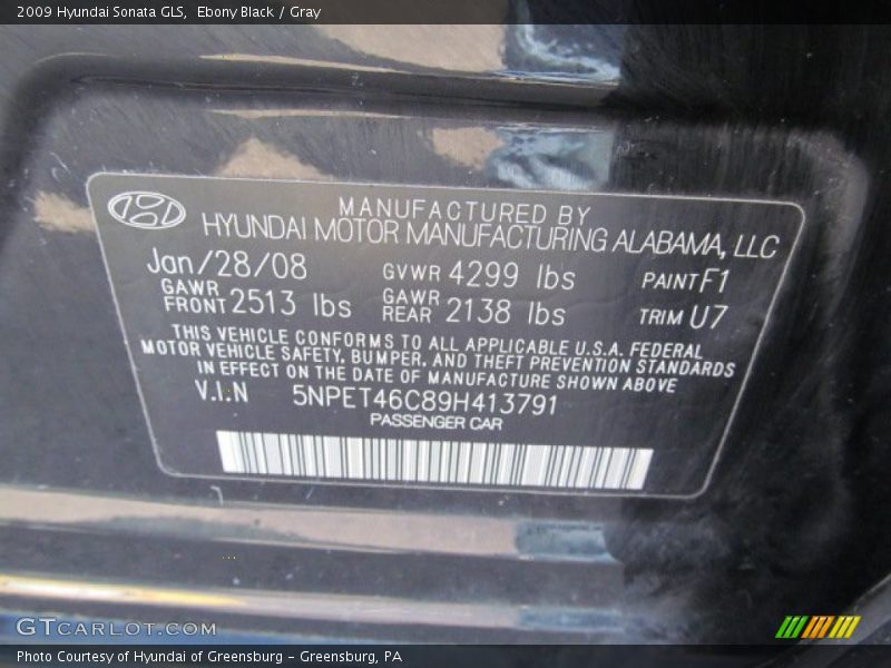 2009 Sonata GLS Ebony Black Color Code F1