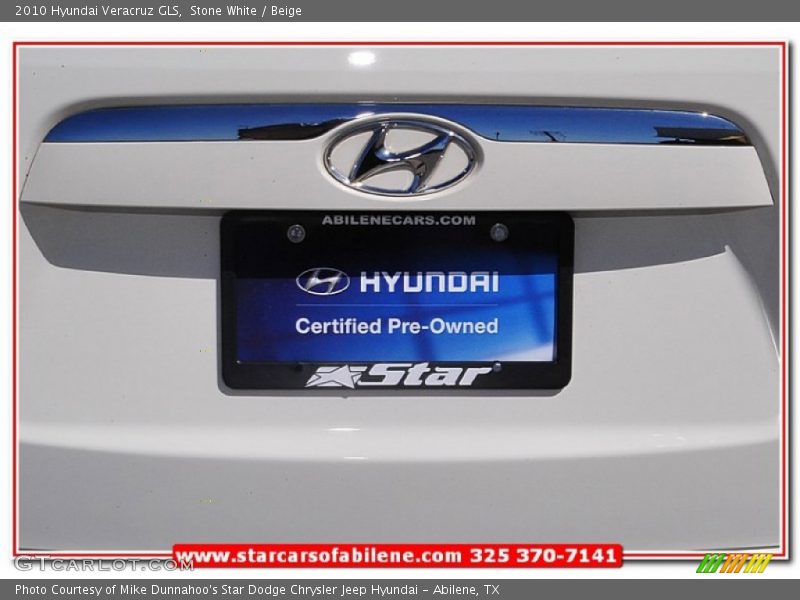 Stone White / Beige 2010 Hyundai Veracruz GLS