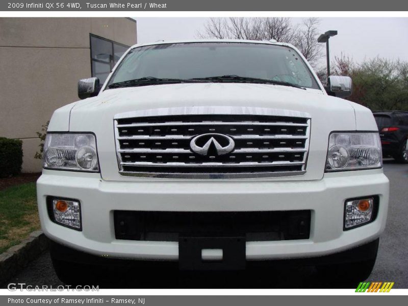 Tuscan White Pearl / Wheat 2009 Infiniti QX 56 4WD