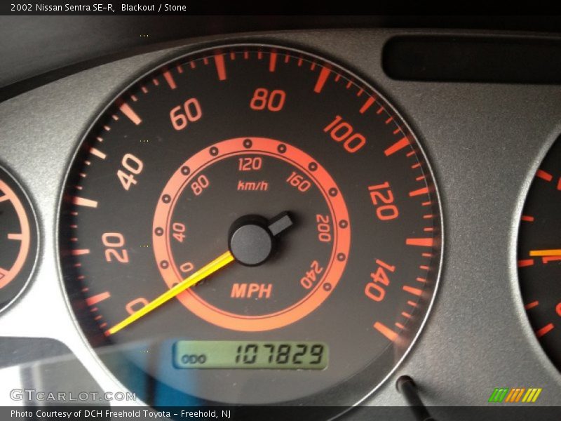 Blackout / Stone 2002 Nissan Sentra SE-R