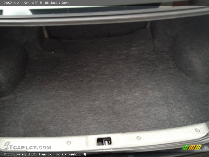 Blackout / Stone 2002 Nissan Sentra SE-R