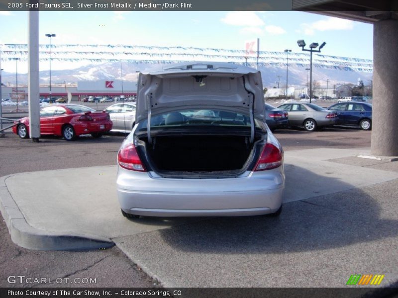 Silver Frost Metallic / Medium/Dark Flint 2005 Ford Taurus SEL