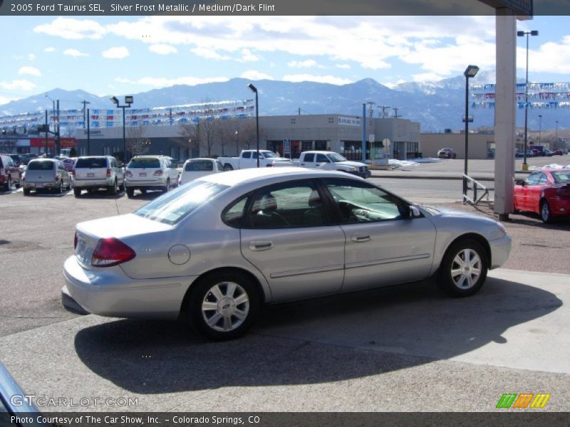 Silver Frost Metallic / Medium/Dark Flint 2005 Ford Taurus SEL