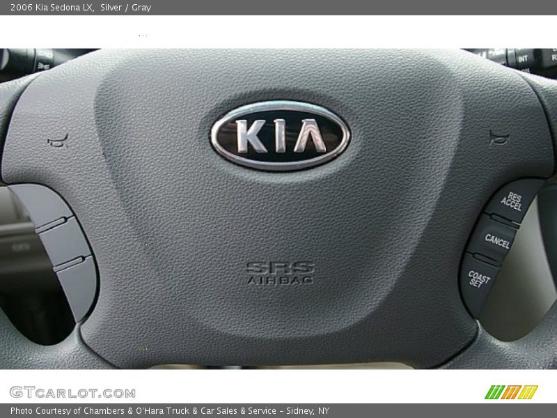 Silver / Gray 2006 Kia Sedona LX