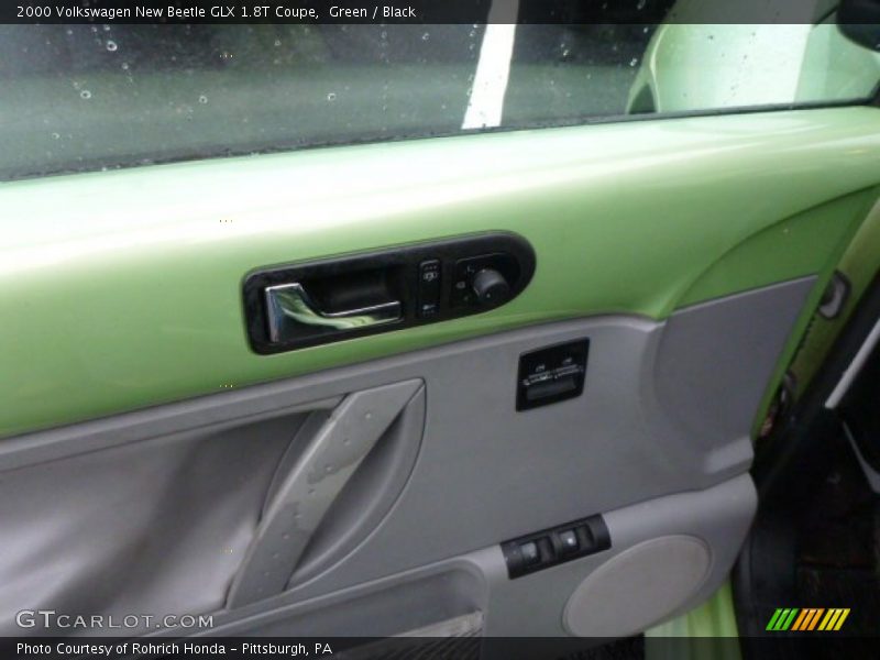Door Panel of 2000 New Beetle GLX 1.8T Coupe