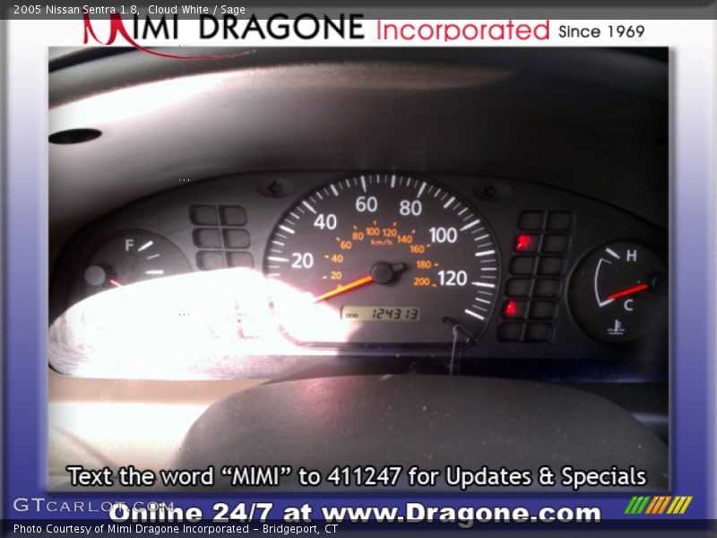 Cloud White / Sage 2005 Nissan Sentra 1.8