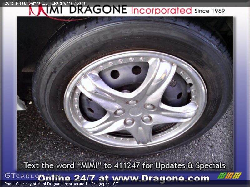 Cloud White / Sage 2005 Nissan Sentra 1.8