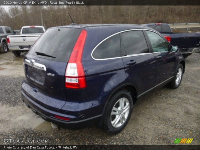 Royal Blue Pearl / Black 2010 Honda CR-V EX-L AWD