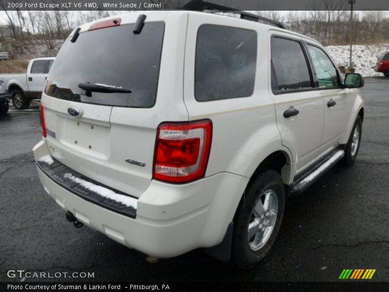 White Suede / Camel 2009 Ford Escape XLT V6 4WD