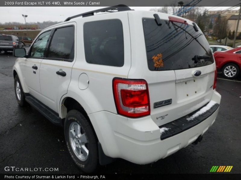 White Suede / Camel 2009 Ford Escape XLT V6 4WD